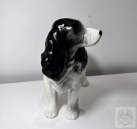 Figurka pies rasy Cocker Spaniel - Melba Ware Anglia.