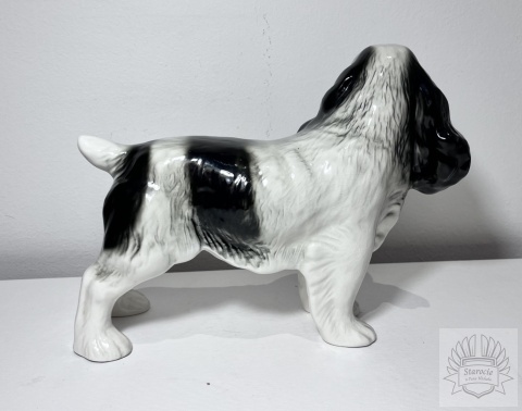 Figurka pies rasy Cocker Spaniel - Melba Ware Anglia.