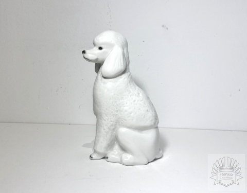 Figurka porcelanowa pies rasy -Pudel Łomonosow (Rosja)